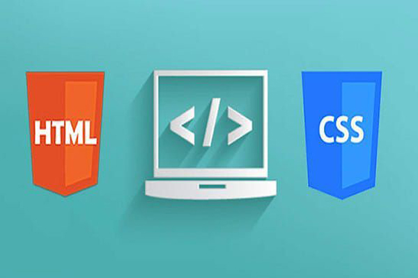 best website design in meerut